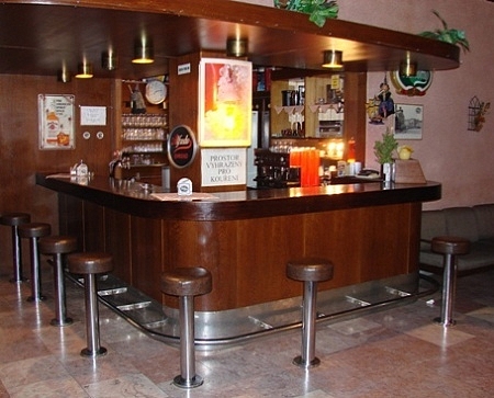 Hotel Jelenice - bar