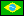 Brazilian portuguese