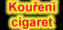 Kuřákova plíce